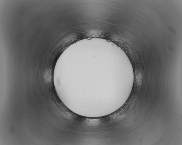 X0000111590665200908131341