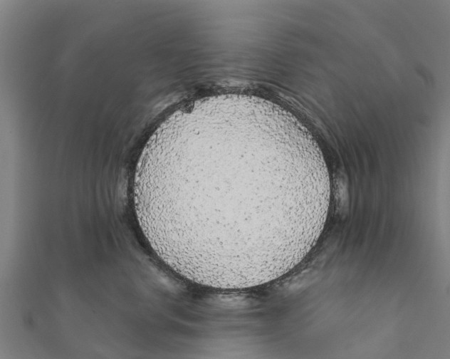 X0000111590668200908131341