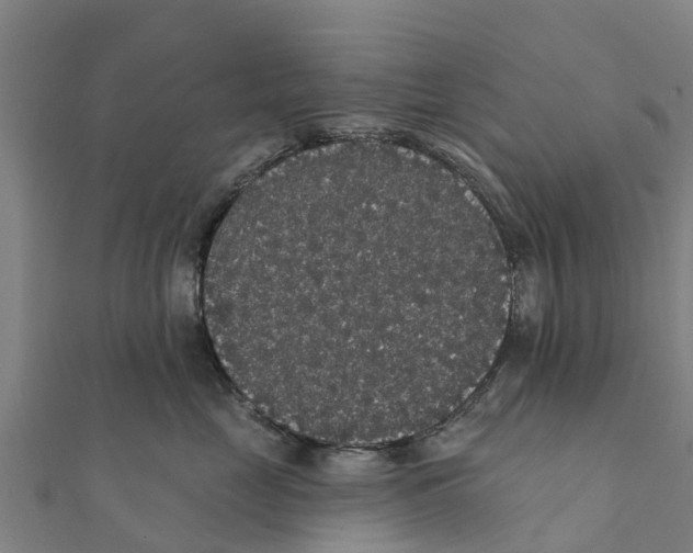 X0000111590669200908131341