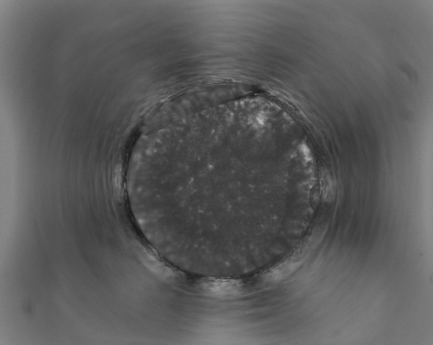 X0000111590670200908131341