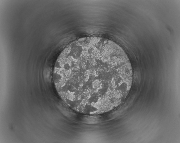 X0000111590671200908131341