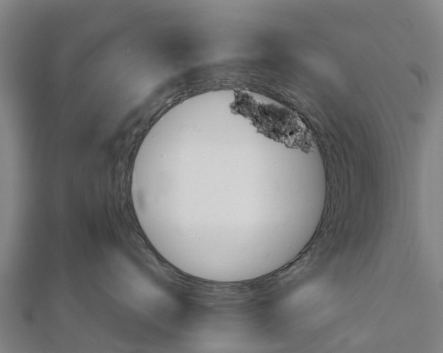 X0000111590672200908131341