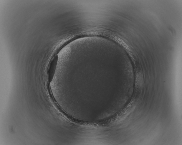 X0000111590673200908131341