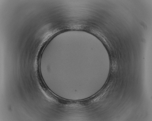 X0000111590674200908131341
