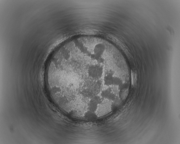 X0000111590675200908131341