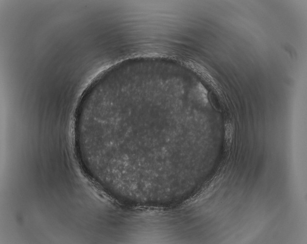 X0000111590676200908131341