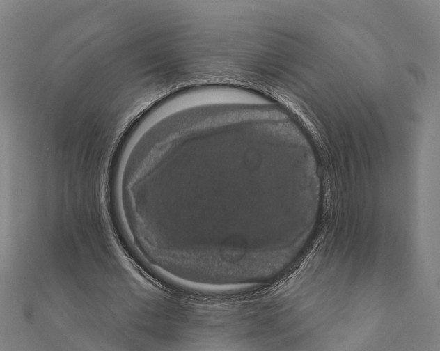 X0000111590677200908131341