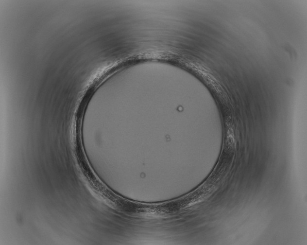 X0000111590678200908131341