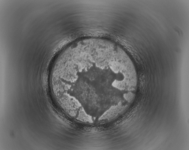 X0000111590679200908131341