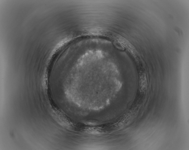 X0000111590680200908131341