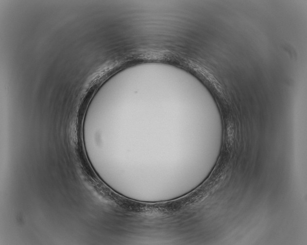 X0000111590682200908131341