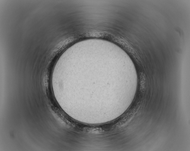 X0000111590683200908131341