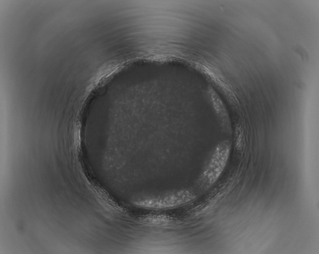 X0000111590685200908131341