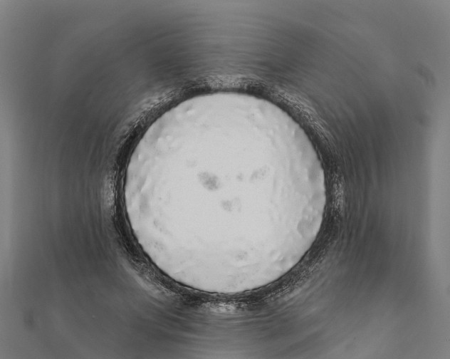 X0000111590687200908131341