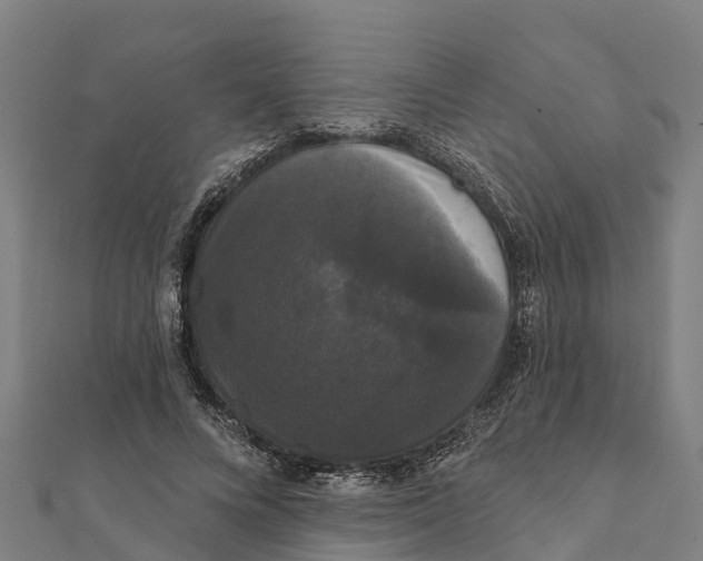 X0000111590688200908131341