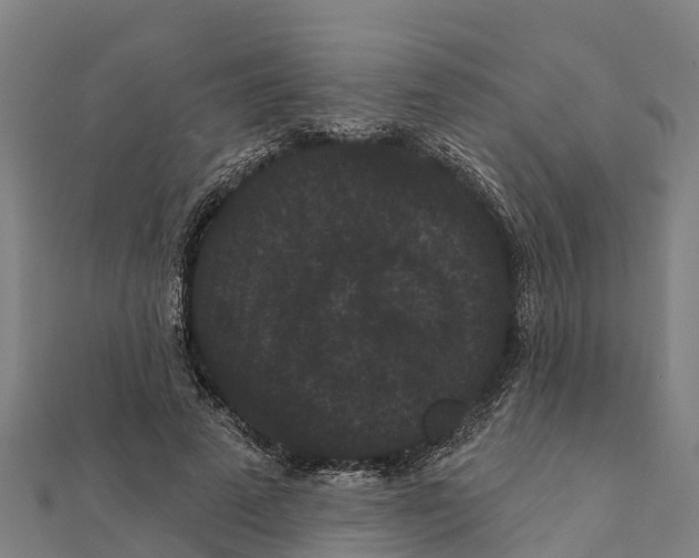 X0000111590689200908131341