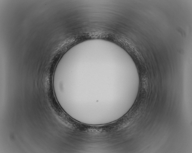 X0000111590690200908131340