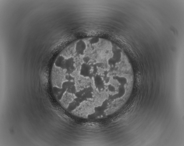 X0000111590691200908131340