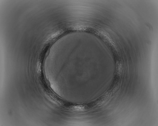 X0000111590692200908131340