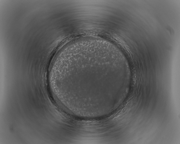 X0000111590693200908131340