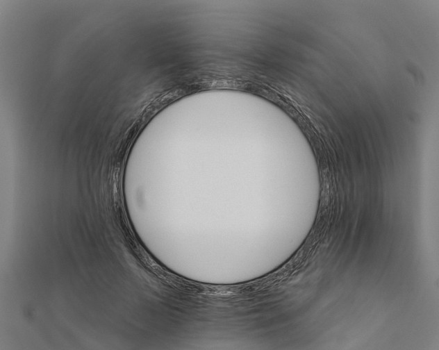 X0000111590695200908131340