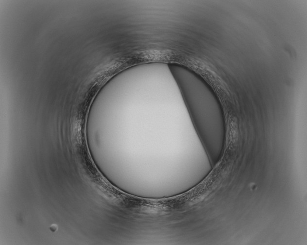 X0000111590696200908131340