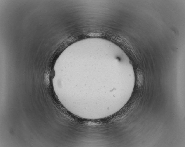 X0000111590697200908131340