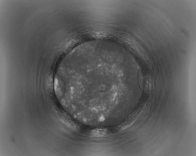 X0000111590700200908131340