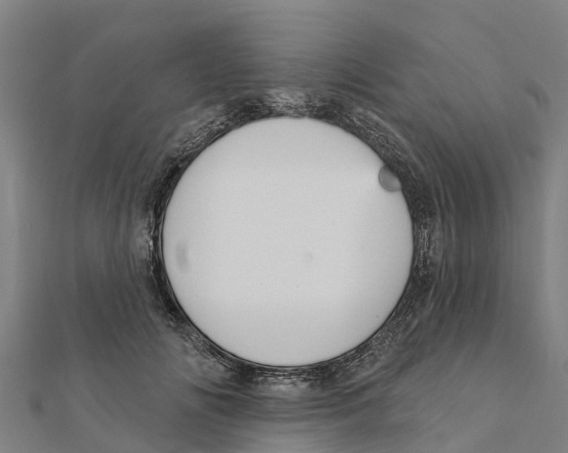 X0000111590702200908131340
