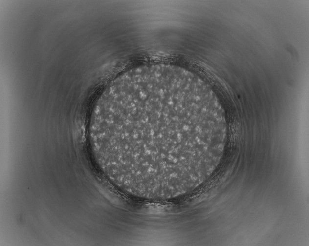 X0000111590703200908131340