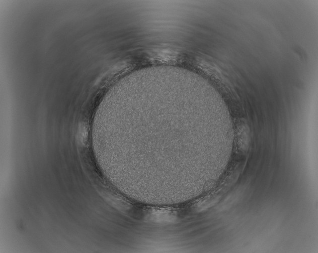 X0000111590709200908131340