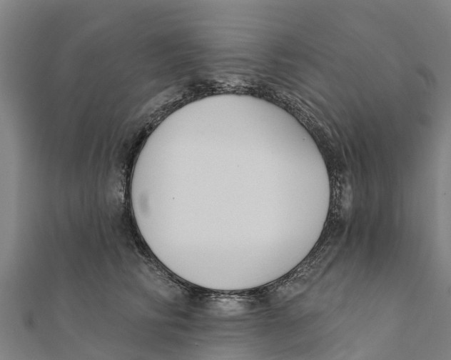 X0000111590710200908131340