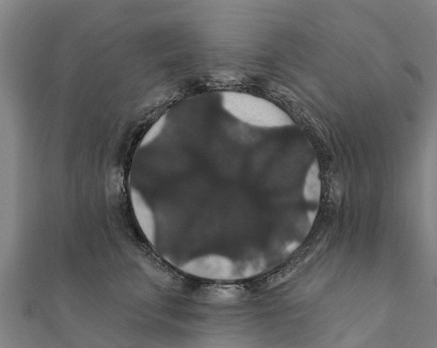 X0000111590711200908131340