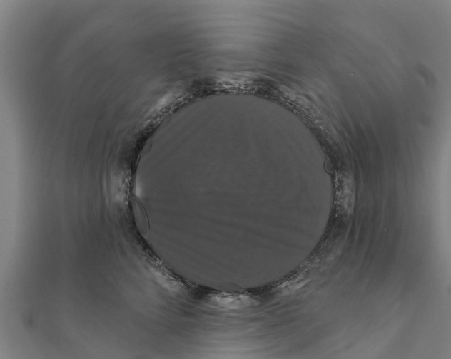 X0000111590712200908131340
