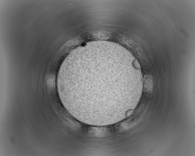 X0000111590713200908131340