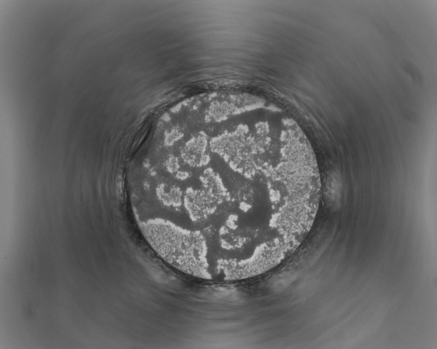 X0000111590715200908131340