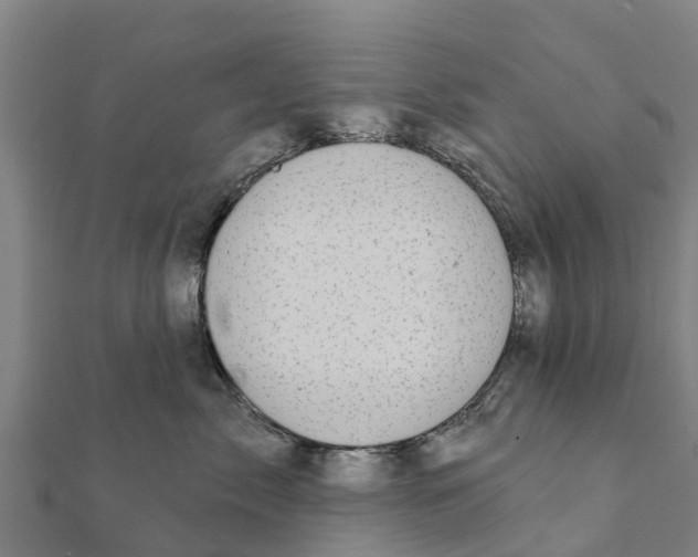 X0000111590717200908131340