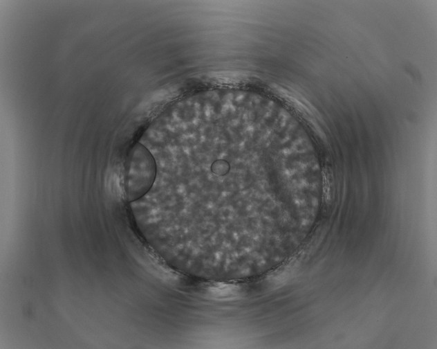 X0000111590718200908131340