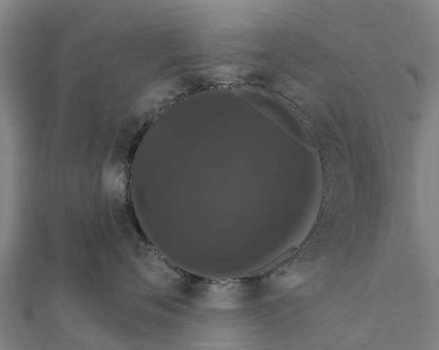 X0000111590720200908131340