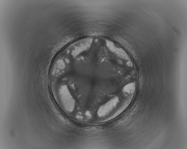 X0000111590721200908131339