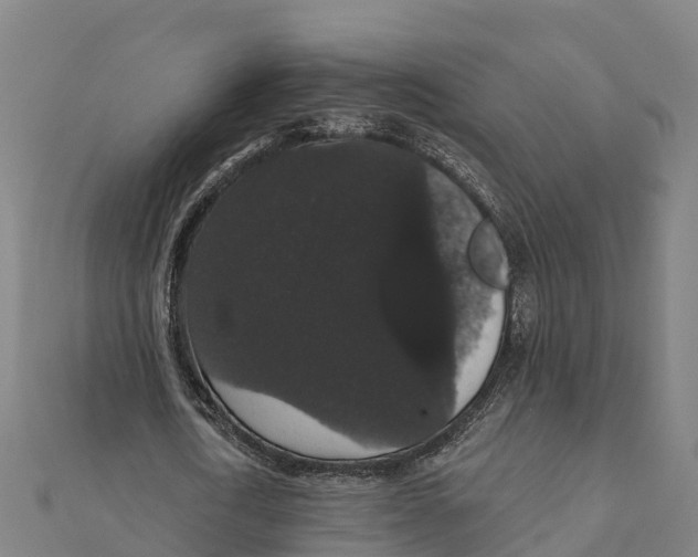 X0000111590722200908131339