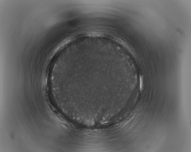 X0000111590723200908131340