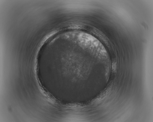 X0000111590724200908131340