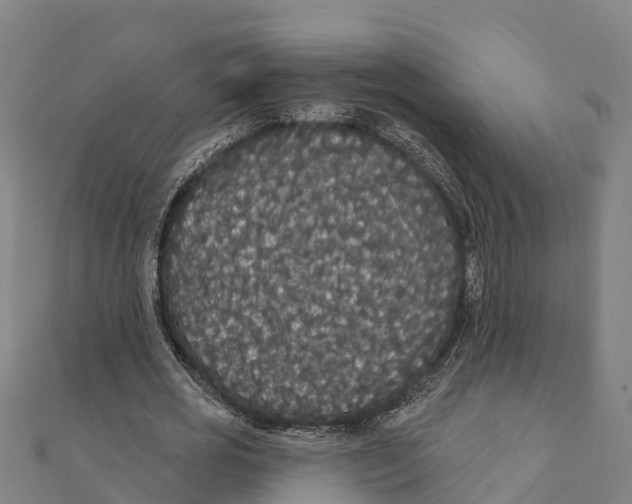 X0000111590725200908131340