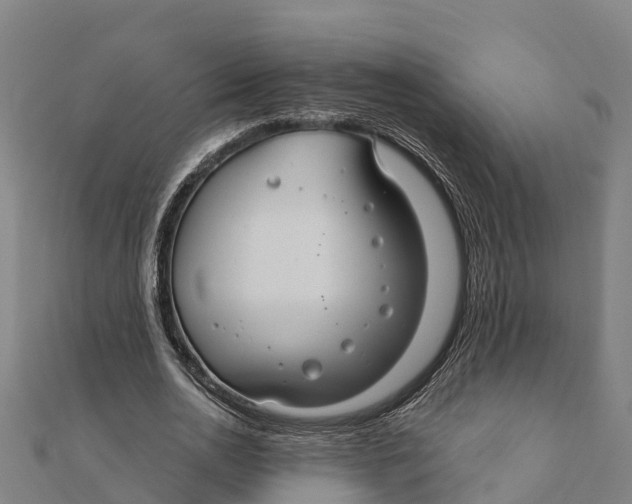X0000111590726200908131340