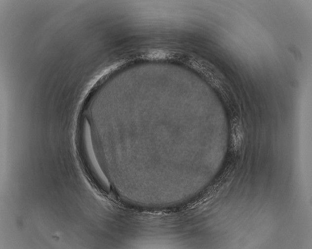 X0000111590728200908131340