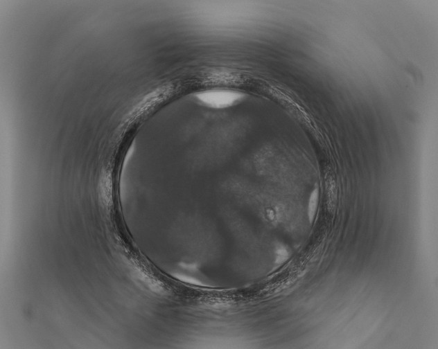 X0000111590729200908131340