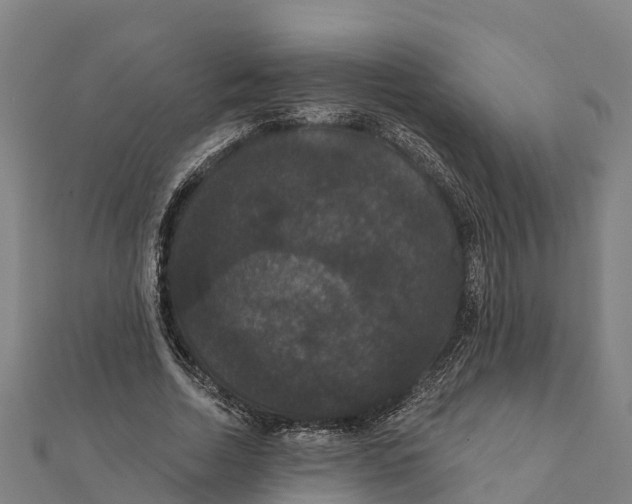 X0000111590730200908131340