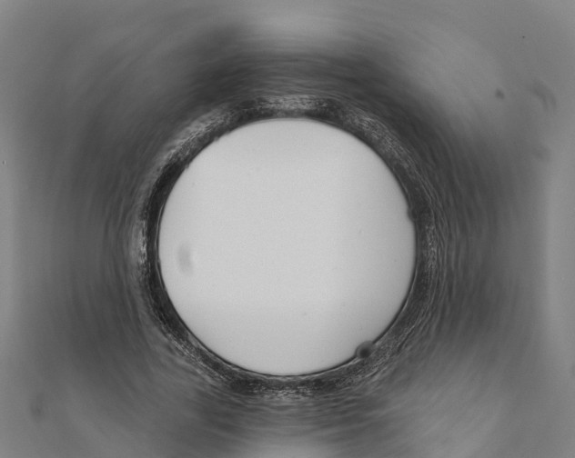X0000111590731200908131340
