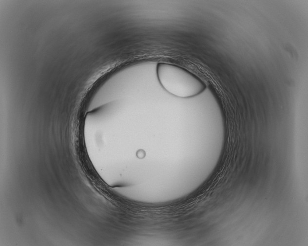 X0000111590732200908131340
